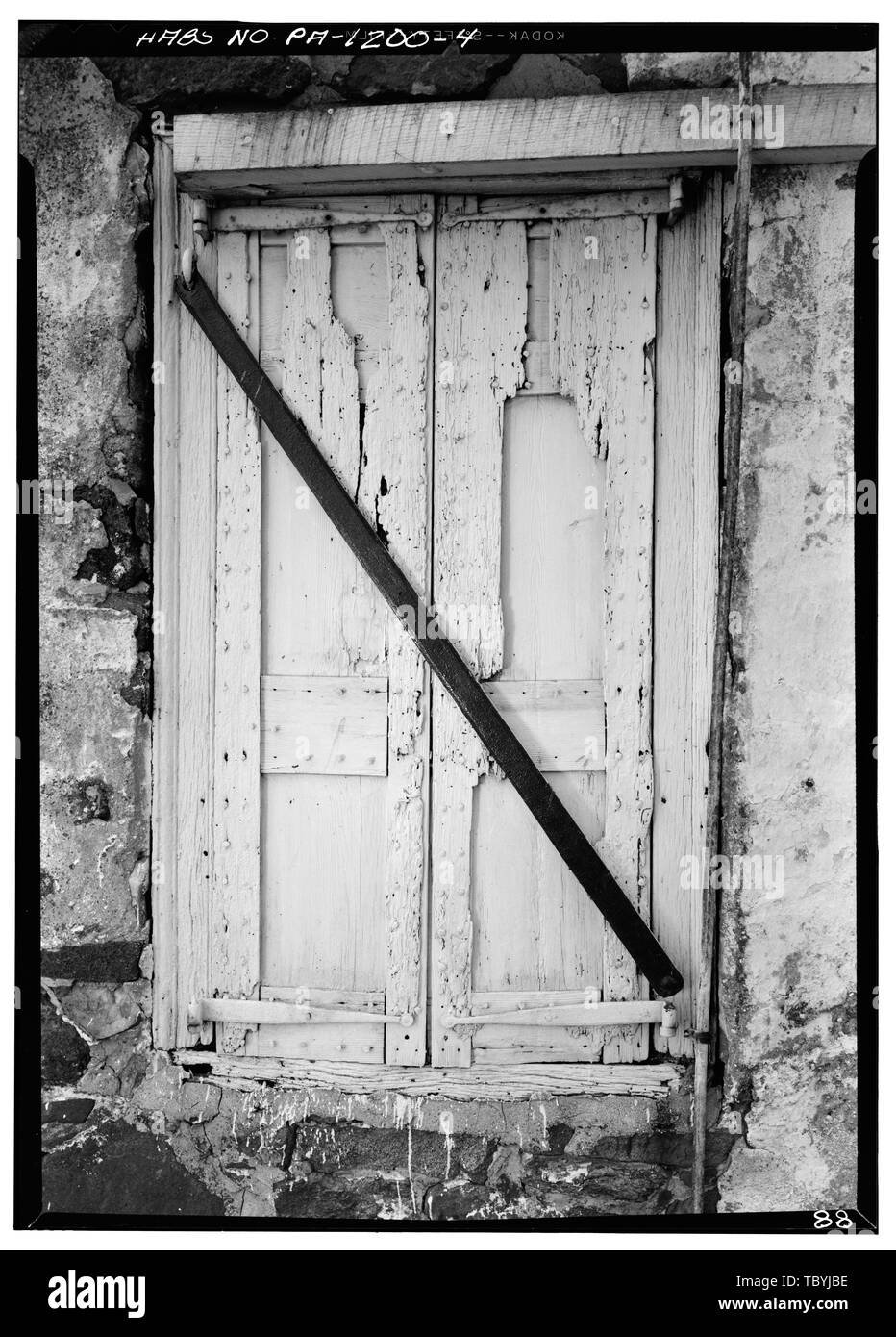 Is Near Stronger than Mikasa Ackerman in Battle?